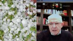 &Lambda;&upsilon;&kappa;&omicron;&upsilon;&rho;έ&nu;&tau;&zeta;&omicron;&sigmaf; &sigma;&tau;&eta; &sigma;&upsilon;&nu;&epsilon;&delta;&rho;ί&alpha;&sigma;&eta; &tau;&omicron;&upsilon; &Sigma;&Epsilon;&Alpha;&Delta;&Epsilon; &sigma;&tau;&eta; &Delta;&upsilon;&tau;&iota;&kappa;ή &Alpha;&chi;&alpha;ΐ&alpha; : "&Omicron; &Epsilon;&Lambda;&Gamma;&Alpha; &pi;&rho;&omicron;&sigma;&pi;&alpha;&theta;&epsilon;ί &nu;&alpha; &sigma;&tau;&eta;&rho;ί&xi;&epsilon;&iota; ό&lambda;&omicron;&upsilon;&sigmaf; &tau;&omicron;&upsilon;&sigmaf; &alpha;&gamma;&rho;ό&tau;&epsilon;&sigmaf; &mu;&epsilon; &alpha;&pi;&omicron;&zeta;&eta;&mu;&iota;ώ&sigma;&epsilon;&iota;&sigmaf;"