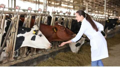 &Kappa;&tau;&eta;&nu;&omicron;&tau;&rho;&omicron;&phi;ί&alpha;: &Epsilon;&nu;ί&sigma;&chi;&upsilon;&sigma;&eta; 89 &epsilon;&kappa;&alpha;&tau;. &epsilon;&upsilon;&rho;ώ - &Pi;&rho;&omicron;&sigma;&omega;&rho;&iota;&nu;ά &alpha;&pi;&omicron;&tau;&epsilon;&lambda;έ&sigma;&mu;&alpha;&tau;&alpha; &delta;&iota;&kappa;&alpha;&iota;&omicron;ύ&chi;&omega;&nu;