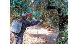 &Delta;&iota;&epsilon;&nu;έ&rho;&gamma;&epsilon;&iota;&alpha; 5&omicron;&upsilon; &Gamma;&epsilon;&nu;&iota;&kappa;&omicron;ύ &kappa;&alpha;&iota; &Mu;&epsilon;&rho;&iota;&kappa;&omicron;ύ &Delta;&omicron;&lambda;&omega;&mu;&alpha;&tau;&iota;&kappa;&omicron;ύ &Psi;&epsilon;&kappa;&alpha;&sigma;&mu;&omicron;ύ &sigma;&tau;&omicron;&upsilon;&sigmaf; &Delta;ή&mu;&omicron;&upsilon;&sigmaf; &Tau;&epsilon;&mu;&pi;ώ&nu; &kappa;&alpha;&iota; &Tau;&upsilon;&rho;&nu;ά&beta;&omicron;&upsilon;