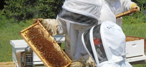 &Delta;&omega;&rho;&epsilon;ά&nu; &Tau;&rho;&iota;ή&mu;&epsilon;&rho;&eta; &Epsilon;&kappa;&pi;&alpha;ί&delta;&epsilon;&upsilon;&sigma;&eta; &Mu;&epsilon;&lambda;&iota;&sigma;&sigma;&omicron;&kappa;&omicron;&mu;ί&alpha;&sigmaf; &sigma;&tau;&omicron; &Mu;&alpha;&kappa;&rho;&omicron;&chi;ώ&rho;&iota; &Eta;&mu;&alpha;&theta;ί&alpha;&sigmaf;