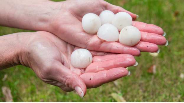 &Alpha;&nu;&alpha;&gamma;&gamma;&epsilon;&lambda;ί&alpha; &zeta;&eta;&mu;&iota;ώ&nu; &sigma;&epsilon; &kappa;&alpha;&lambda;&lambda;&iota;έ&rho;&gamma;&epsilon;&iota;&epsilon;&sigmaf; &alpha;&pi;ό &chi;&alpha;&lambda;&alpha;&zeta;ό&pi;&tau;&omega;&sigma;&eta; - &Pi;&omicron;&iota;&epsilon;&sigmaf; &pi;&epsilon;&rho;&iota;&omicron;&chi;έ&sigmaf; &alpha;&phi;&omicron;&rho;ά