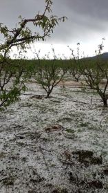 &Theta;&epsilon;&omicron;&delta;ώ&rho;&alpha; &Tau;&zeta;ά&kappa;&rho;&eta;: &Omicron;&iota; &zeta;&eta;&mu;ί&epsilon;&sigmaf; &theta;&alpha; &epsilon;&kappa;&tau;&iota;&mu;&eta;&theta;&omicron;ύ&nu; &alpha;&mu;έ&sigma;&omega;&sigmaf; &kappa;&alpha;&iota; &omicron;&iota; &alpha;&pi;&omicron;&zeta;&eta;&mu;&iota;ώ&sigma;&epsilon;&iota;&sigmaf; &theta;&alpha; &epsilon;ί&nu;&alpha;&iota; &delta;ί&kappa;&alpha;&iota;&epsilon;&sigmaf; &kappa;&alpha;&iota; &theta;&alpha; &kappa;&alpha;&tau;&alpha;&beta;&lambda;&eta;&theta;&omicron;ύ&nu; &tau;&omicron; &tau;&alpha;&chi;ύ&tau;&epsilon;&rho;&omicron; &delta;&upsilon;&nu;&alpha;&tau;ό&nu;