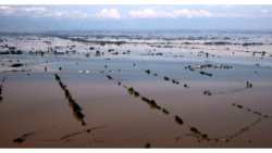 &Alpha;&nu;&alpha;&kappa;&omicron;ί&nu;&omega;&sigma;&eta; &Pi;&Omicron;&Gamma;&Epsilon;&Delta;&Upsilon; &sigma;&chi;&epsilon;&tau;&iota;&kappa;ά &mu;&epsilon; &tau;&eta;&nu; &Eta;&mu;&epsilon;&rho;ί&delta;&alpha; &laquo;&Tau;&omicron; &mu;έ&lambda;&lambda;&omicron;&nu; &tau;&eta;&sigmaf; &Theta;&epsilon;&sigma;&sigma;&alpha;&lambda;ί&alpha;&sigmaf; &mu;&epsilon;&tau;ά &tau;&omicron;&nu; Daniel &kappa;&alpha;&iota; &tau;&eta;&nu; &kappa;&lambda;&iota;&mu;&alpha;&tau;&iota;&kappa;ή &alpha;&lambda;&lambda;&alpha;&gamma;ή&raquo;