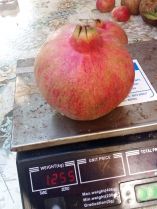 &Pi;ό&sigma;&omicron; &zeta;&upsilon;&gamma;ί&zeta;&epsilon;&iota; &tau;&omicron; &rho;ό&delta;&iota; "&gamma;ί&gamma;&alpha;&sigmaf;" &pi;&omicron;&upsilon; &mu;ά&zeta;&epsilon;&psi;&epsilon; &alpha;&pi;ό &tau;&eta; &rho;&omicron;&delta;&iota;ά &tau;&omicron;&upsilon; &pi;&alpha;&rho;&alpha;&gamma;&omega;&gamma;ό&sigmaf; &sigma;&tau;&eta;&nu; &Eta;&mu;&alpha;&theta;ί&alpha;