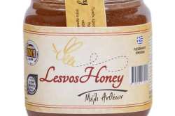 14&omicron; &Phi;&epsilon;&sigma;&tau;&iota;&beta;ά&lambda; &Mu;&epsilon;&lambda;&iota;&omicron;ύ : &Sigma;&upsilon;&gamma;&chi;&alpha;&rho;&eta;&tau;ή&rho;&iota;&alpha; &Pi;&epsilon;&rho;&iota;&phi;&epsilon;&rho;&epsilon;&iota;ά&rho;&chi;&eta; &Beta;&omicron;&rho;&epsilon;ί&omicron;&upsilon; &Alpha;&iota;&gamma;&alpha;ί&omicron;&upsilon; &Kappa;. &Mu;&omicron;&upsilon;&tau;&zeta;&omicron;ύ&rho;&eta; &gamma;&iota;&alpha; &tau;&eta;&nu; &delta;&iota;ά&kappa;&rho;&iota;&sigma;&eta; &tau;&omicron;&upsilon; Lesvos Honey