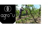 &Eta; Agro-U &sigma;&tau;&eta;&nu; &epsilon;&kappa;&pi;&omicron;&mu;&pi;ή &Epsilon;&Pi;&Iota;&Lambda;&Omicron;&Gamma;&Epsilon;&Sigma; &alpha;&nu;&alpha;&lambda;ύ&epsilon;&iota; &sigma;&epsilon; &alpha;&pi;&lambda;ά &beta;ή&mu;&alpha; &tau;&omicron;&nu; &tau;&rho;ό&pi;&omicron; &sigma;ύ&nu;&delta;&epsilon;&sigma;&eta;&sigmaf; &alpha;&gamma;&rho;&omicron;&tau;ώ&nu; &amp; &epsilon;&rho;&gamma;&alpha;&tau;ώ&nu; &gamma;&eta;&sigmaf; (&Delta;&epsilon;ί&tau;&epsilon; &tau;&omicron; &Beta;ί&nu;&tau;&epsilon;&omicron;)