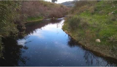 &Epsilon;&iota;&sigma;&alpha;&gamma;&gamma;&epsilon;&lambda;&iota;&kappa;ή &pi;&alpha;&rho;έ&mu;&beta;&alpha;&sigma;&eta; &gamma;&iota;&alpha; &tau;&eta;&nu; &rho;ύ&pi;&alpha;&nu;&sigma;&eta;-&mu;ό&lambda;&upsilon;&nu;&sigma;&eta; &alpha;&pi;ό &kappa;&alpha;&tau;&sigma;ί&gamma;&alpha;&rho;&omicron; &tau;&omicron;&upsilon; &phi;&upsilon;&sigma;&iota;&kappa;&omicron;ύ &pi;&epsilon;&rho;&iota;&beta;ά&lambda;&lambda;&omicron;&nu;&tau;&omicron;&sigmaf; &tau;&eta;&sigmaf; &Pi;.&Epsilon;. &Eta;&rho;&alpha;&kappa;&lambda;&epsilon;ί&omicron;&upsilon;