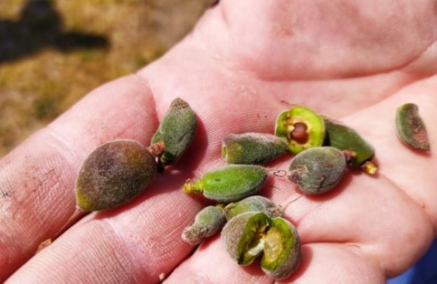 &Kappa;&alpha;&rho;&alpha;&sigma;&mu;ά&nu;&eta;&sigmaf; &pi;&rho;&omicron;&sigmaf; &Upsilon;&pi;&Alpha;&Alpha;&Tau; &gamma;&iota;&alpha; &zeta;&eta;&mu;&iota;έ&sigmaf; &alpha;&pi;ό &pi;&alpha;&gamma;&epsilon;&tau;&omicron;ύ&sigmaf;: &Sigma;&tau;&iota;&sigmaf; &Beta;&rho;&upsilon;&xi;έ&lambda;&lambda;&epsilon;&sigmaf;, &nu;&alpha; &delta;&iota;&epsilon;&kappa;&delta;&iota;&kappa;ή&sigma;&omicron;&upsilon;&mu;&epsilon; &pi;ό&rho;&omicron;&upsilon;&sigmaf; &alpha;&pi;ό &tau;&omicron; &tau;&alpha;&mu;&epsilon;ί&omicron; &delta;&iota;&alpha;&chi;&epsilon;ί&rho;&iota;&sigma;&eta;&sigmaf; &kappa;&rho;ί&sigma;&epsilon;&omega;&nu;