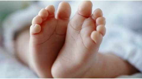 &Sigma;&omicron;&kappa; &sigma;&tau;&eta; &Beta;έ&rho;&omicron;&iota;&alpha;: &Nu;&epsilon;&kappa;&rho;ό &kappa;&omicron;&rho;&iota;&tau;&sigma;ά&kappa;&iota; 11 &mu;&eta;&nu;ώ&nu;, &sigma;&tau;&omicron; &phi;&rho;ά&gamma;&mu;&alpha; &tau;&omicron;&upsilon; &Alpha;&lambda;&iota;ά&kappa;&mu;&omicron;&nu;&alpha; - &Sigma;&upsilon;&nu;&epsilon;&lambda;ή&phi;&theta;&eta; &eta; &mu;&eta;&tau;έ&rho;&alpha; &tau;&omicron;&upsilon;