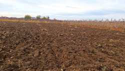 &Pi;&omega;&lambda;&epsilon;ί&tau;&alpha;&iota; &chi;&omega;&rho;ά&phi;&iota; 4 &sigma;&tau;&rho;έ&mu;&mu;&alpha;&tau;&alpha;