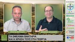&ldquo;&Epsilon;&lambda;&lambda;&eta;&nu;&iota;&kappa;ή &Pi;&alpha;&rho;&alpha;&gamma;&omega;&gamma;ή&rdquo; web-tv: &Omega;&phi;έ&lambda;&iota;&mu;&alpha; &beta;&alpha;&kappa;&tau;ή&rho;&iota;&alpha;, &theta;&epsilon;&rho;&mu;&omicron;&kappa;ή&pi;&iota;&alpha; &kappa;&alpha;&iota; &alpha;&sigma;&phi;ά&lambda;&epsilon;&iota;&epsilon;&sigmaf; &theta;&epsilon;&rho;&mu;&omicron;&kappa;&eta;&pi;ί&omega;&nu;