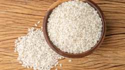 &Eta;&mu;&epsilon;&rho;ί&delta;&alpha; &gamma;&iota;&alpha; &nu;έ&epsilon;&sigmaf; &pi;&omicron;&iota;&kappa;&iota;&lambda;ί&epsilon;&sigmaf; &rho;&upsilon;&zeta;&iota;&omicron;ύ &kappa;&alpha;&iota; &mu;&epsilon;ί&omega;&sigma;&eta; &kappa;ό&sigma;&tau;&omicron;&upsilon;&sigmaf; &kappa;&alpha;&lambda;&lambda;&iota;έ&rho;&gamma;&epsilon;&iota;&alpha;&sigmaf; &delta;&iota;&omicron;&rho;&gamma;&alpha;&nu;ώ&nu;&epsilon;&iota; &eta; &Epsilon;&Delta;&Omicron;&Rho;&Epsilon;&Lambda;