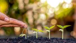 &Lambda;&epsilon;&iota;&psi;&upsilon;&delta;&rho;ί&alpha;: &Eta; &Omicron;&upsilon;&rho;&omicron;&upsilon;&gamma;&omicron;&upsilon;ά&eta; &kappa;&eta;&rho;ύ&sigma;&sigma;&epsilon;&iota; &kappa;&alpha;&tau;ά&sigma;&tau;&alpha;&sigma;&eta; έ&kappa;&tau;&alpha;&kappa;&tau;&eta;&sigmaf; &alpha;&nu;ά&gamma;&kappa;&eta;&sigmaf; &sigma;&tau;&eta; &gamma;&epsilon;&omega;&rho;&gamma;ί&alpha;