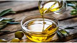 &Epsilon;&lambda;&alpha;&iota;ό&lambda;&alpha;&delta;&omicron;: &Nu;έ&alpha; &epsilon;&pi;&iota;&sigma;&tau;&eta;&mu;&omicron;&nu;&iota;&kappa;ά &delta;&epsilon;&delta;&omicron;&mu;έ&nu;&alpha; &kappa;&alpha;&tau;ά &tau;&omicron;&upsilon; &kappa;&alpha;&rho;&kappa;ί&nu;&omicron;&upsilon; &tau;&omicron;&upsilon; &pi;&alpha;&chi;έ&omega;&sigmaf; &epsilon;&nu;&tau;έ&rho;&omicron;&upsilon;