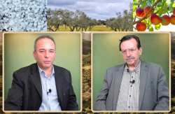 &Omicron; &Chi;&rho;. &Gamma;&iota;&alpha;&nu;&nu;&alpha;&kappa;ά&kappa;&eta;&sigmaf; &sigma;&tau;&eta;&nu; &epsilon;&kappa;&pi;&omicron;&mu;&pi;ή "&Epsilon;&Lambda;&Lambda;&Eta;&Nu;&Iota;&Kappa;&Eta; &Pi;&Alpha;&Rho;&Alpha;&Gamma;&Omega;&Gamma;&Eta;" &gamma;&iota;&alpha; &epsilon;&nu;&iota;&sigma;&chi;ύ&sigma;&epsilon;&iota;&sigmaf; Deminimis , &epsilon;&rho;&gamma;ά&tau;&epsilon;&sigmaf; &gamma;&eta;&sigmaf; &kappa;&alpha;&iota; &Epsilon;&Lambda;&Gamma;&Alpha;