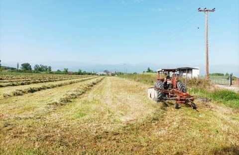 &Eta; &Nu;&Delta; &theta;έ&lambda;&epsilon;&iota; &xi;&alpha;&nu;ά &nu;&alpha; &kappa;&alpha;&tau;ά&sigma;&chi;&epsilon;&iota; &tau;&iota;&sigmaf; &epsilon;&pi;&iota;&delta;&omicron;&tau;ή&sigma;&epsilon;&iota;&sigmaf; &tau;&omega;&nu; &alpha;&gamma;&rho;&omicron;&tau;ώ&nu; &kappa;&alpha;&tau;&alpha;&gamma;&gamma;έ&lambda;&lambda;&epsilon;&iota; &tau;&omicron; &Alpha;&Kappa;&Kappa;&Epsilon;&Lambda;