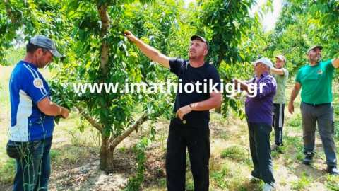 &Epsilon;&nu;&omega;&tau;&iota;&kappa;ή &Omicron;&mu;&omicron;&sigma;&pi;&omicron;&nu;&delta;ί&alpha; &Alpha;&gamma;&rho;&omicron;&tau;&iota;&kappa;ώ&nu; &Sigma;&upsilon;&lambda;&lambda;ό&gamma;&omega;&nu; &Eta;&mu;&alpha;&theta;ί&alpha;&sigmaf;: &Epsilon;&rho;&gamma;ά&tau;&epsilon;&sigmaf; &gamma;&eta;&sigmaf; &kappa;&alpha;&iota; &beta;&iota;&omicron;&pi;&alpha;&lambda;&alpha;&iota;&sigma;&tau;έ&sigmaf; &alpha;&gamma;&rho;ό&tau;&epsilon;&sigmaf; &sigma;&tau;&omicron;&nu; ί&delta;&iota;&omicron; &alpha;&gamma;ώ&nu;&alpha; &gamma;&iota;&alpha; &alpha;&xi;&iota;&omicron;&pi;&rho;&epsilon;&pi;ή &zeta;&omega;ή
