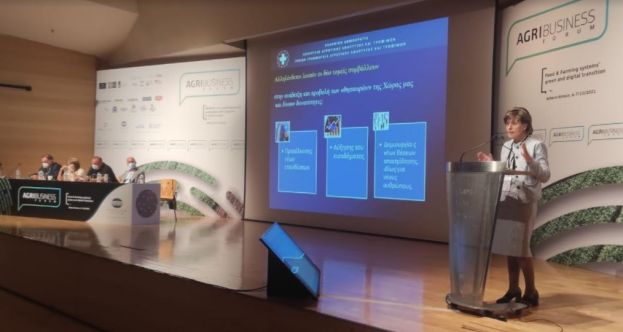 &Chi;&rho;. &Kappa;&alpha;&lambda;&omicron;&gamma;ή&rho;&omicron;&upsilon;: &Eta; &Epsilon;&theta;&nu;&iota;&kappa;ή &Sigma;&tau;&rho;&alpha;&tau;&eta;&gamma;&iota;&kappa;ή &tau;&omicron;&upsilon; &Upsilon;&Pi;&Alpha;&Alpha;&Tau; &mu;&epsilon; &alpha;&iota;&chi;&mu;ή &tau;&eta;&nu; &kappa;&alpha;&iota;&nu;&omicron;&tau;&omicron;&mu;ί&alpha; &omicron;&delta;&eta;&gamma;&epsilon;ί &sigma;&epsilon; &omicron;&iota;&kappa;&omicron;&nu;&omicron;&mu;&iota;&kappa;ά &omicron;&phi;έ&lambda;&eta; &kappa;&alpha;&iota; &kappa;&omicron;&iota;&nu;&omega;&nu;&iota;&kappa;ή &epsilon;&upsilon;&eta;&mu;&epsilon;&rho;ί&alpha;