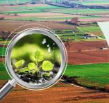 &Delta;&iota;&alpha;&delta;&iota;&kappa;&tau;&upsilon;&alpha;&kappa;ή &epsilon;&kappa;&delta;ή&lambda;&omega;&sigma;&eta; &mu;&epsilon; &theta;έ&mu;&alpha;: &laquo;&Alpha;&pi;ό &tau;&omicron; &alpha;&gamma;&rho;ό&kappa;&tau;&eta;&mu;&alpha; &sigma;&tau;&omicron; &pi;&iota;ά&tau;&omicron; - &Tau;&rho;ώ&mu;&epsilon; έ&xi;&upsilon;&pi;&nu;&alpha; &chi;&omega;&rho;ί&sigmaf; &nu;&alpha; &epsilon;&pi;&iota;&beta;&alpha;&rho;ύ&nu;&omicron;&upsilon;&mu;&epsilon; &upsilon;&gamma;&epsilon;ί&alpha; &ndash; &pi;&epsilon;&rho;&iota;&beta;ά&lambda;&lambda;&omicron;&nu;&raquo;