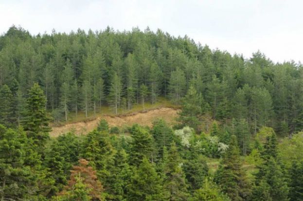 &Nu;έ&epsilon;&sigmaf; &rho;&upsilon;&theta;&mu;ί&sigma;&epsilon;&iota;&sigmaf; &sigma;&tau;&eta; &delta;&alpha;&sigma;&iota;&kappa;ή &nu;&omicron;&mu;&omicron;&theta;&epsilon;&sigma;ί&alpha;
