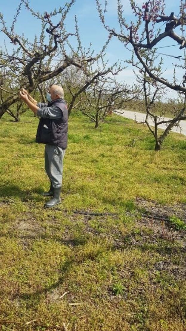 &Omicron; &Gamma;. &Kappa;&alpha;&rho;&alpha;&sigma;&mu;ά&nu;&eta;&sigmaf; &kappa;&omicron;&nu;&tau;ά &sigma;&tau;&omicron;&upsilon;&sigmaf; &pi;&lambda;&eta;&gamma;έ&nu;&tau;&epsilon;&sigmaf; &pi;&alpha;&rho;&alpha;&gamma;&omega;&gamma;&omicron;ύ&sigmaf;