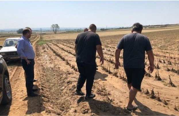 &Beta;&alpha;&sigma;&iota;&lambda;&epsilon;&iota;ά&delta;&eta;&sigmaf;: &Alpha;&nu;&omicron;ί&gamma;&epsilon;&iota; &omicron; &delta;&rho;ό&mu;&omicron;&sigmaf; &gamma;&iota;&alpha; ά&rho;&sigma;&eta; &tau;&eta;&sigmaf; &pi;&alpha;&rho;&alpha;&kappa;&rho;ά&tau;&eta;&sigma;&eta;&sigmaf; 20% &gamma;&iota;&alpha; &tau;&eta; &zeta;&eta;&mu;&iota;ά &alpha;&pi;ό &tau;&eta; &chi;&alpha;&lambda;&alpha;&zeta;ό&pi;&tau;&omega;&sigma;&eta; &tau;&omicron;&upsilon; &Iota;&omicron;&upsilon;&nu;ί&omicron;&upsilon; &sigma;&tau;&iota;&sigmaf; &Delta;&Kappa; &Alpha;&theta;ύ&rho;&omega;&nu;, &Delta;&upsilon;&tau;&iota;&kappa;&omicron;ύ &kappa;&alpha;&iota; &Rho;&alpha;&chi;ώ&nu;&alpha;&sigmaf;