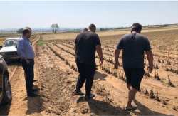 &Beta;&alpha;&sigma;&iota;&lambda;&epsilon;&iota;ά&delta;&eta;&sigmaf;: &Alpha;&nu;&omicron;ί&gamma;&epsilon;&iota; &omicron; &delta;&rho;ό&mu;&omicron;&sigmaf; &gamma;&iota;&alpha; ά&rho;&sigma;&eta; &tau;&eta;&sigmaf; &pi;&alpha;&rho;&alpha;&kappa;&rho;ά&tau;&eta;&sigma;&eta;&sigmaf; 20% &gamma;&iota;&alpha; &tau;&eta; &zeta;&eta;&mu;&iota;ά &alpha;&pi;ό &tau;&eta; &chi;&alpha;&lambda;&alpha;&zeta;ό&pi;&tau;&omega;&sigma;&eta; &tau;&omicron;&upsilon; &Iota;&omicron;&upsilon;&nu;ί&omicron;&upsilon; &sigma;&tau;&iota;&sigmaf; &Delta;&Kappa; &Alpha;&theta;ύ&rho;&omega;&nu;, &Delta;&upsilon;&tau;&iota;&kappa;&omicron;ύ &kappa;&alpha;&iota; &Rho;&alpha;&chi;ώ&nu;&alpha;&sigmaf;