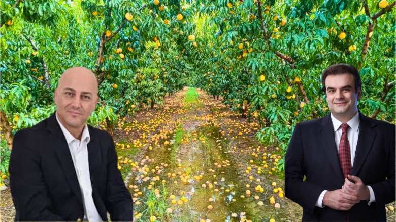 &Beta;&rho;&omicron;&chi;&omicron;&pi;&tau;ώ&sigma;&epsilon;&iota;&sigmaf; &Alpha;&upsilon;&gamma;&omicron;ύ&sigma;&tau;&omicron;&upsilon; 2024: &Epsilon;&rho;ώ&tau;&eta;&sigma;&eta; &Kappa;&omicron;&tau;ί&delta;&eta; &pi;&rho;&omicron;&sigmaf; &tau;&omicron;&nu; &Upsilon;&pi;&omicron;&upsilon;&rho;&gamma;ό &Epsilon;&theta;&nu;&iota;&kappa;ή&sigmaf; &Omicron;&iota;&kappa;&omicron;&nu;&omicron;&mu;ί&alpha;&sigmaf; &kappa;&alpha;&iota; &Omicron;&iota;&kappa;&omicron;&nu;&omicron;&mu;&iota;&kappa;ώ&nu; &gamma;&iota;&alpha; &alpha;&pi;&omicron;&zeta;&eta;&mu;&iota;ώ&sigma;&epsilon;&iota;&sigmaf; &pi;&alpha;&rho;&alpha;&gamma;&omega;&gamma;ώ&nu;