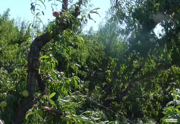 &Lambda;ά&zeta;&alpha;&rho;&omicron;&sigmaf; &Tau;&sigma;&alpha;&beta;&delta;&alpha;&rho;ί&delta;&eta;&sigmaf; &laquo;&Omicron;&lambda;&omicron;&kappa;&lambda;&eta;&rho;ώ&nu;&epsilon;&tau;&alpha;&iota; &eta; &delta;&iota;&alpha;&delta;&iota;&kappa;&alpha;&sigma;ί&alpha; &gamma;&iota;&alpha; &tau;&eta;&nu; &kappa;&alpha;&tau;&alpha;&beta;&omicron;&lambda;ή &tau;&omicron;&upsilon; 35% &tau;&omega;&nu; &alpha;&pi;&omicron;&zeta;&eta;&mu;&iota;ώ&sigma;&epsilon;&omega;&nu;&raquo;