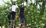 &Epsilon;&rho;&gamma;ά&tau;&epsilon;&sigmaf; &gamma;&eta;&sigmaf;: &Epsilon;&pi;&iota;&sigma;&tau;&omicron;&lambda;ή &Kappa;&alpha;&rho;&alpha;&sigma;&mu;ά&nu;&eta; &sigma;&epsilon; 7 &upsilon;&pi;&omicron;&upsilon;&rho;&gamma;&omicron;ύ&sigmaf; &gamma;&iota;&alpha; &lambda;ύ&sigma;&eta; &tau;&omicron;&upsilon; &pi;&rho;&omicron;&beta;&lambda;ή&mu;&alpha;&tau;&omicron;&sigmaf; &epsilon;&nu;ό&psi;&epsilon;&iota; &tau;&omega;&nu; &nu;έ&omega;&nu; &sigma;&omicron;&delta;&epsilon;&iota;ώ&nu;