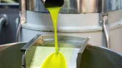 &Epsilon;&lambda;&alpha;&iota;ό&lambda;&alpha;&delta;&omicron;: &Epsilon;&kappa;&tau;ί&mu;&eta;&sigma;&eta; &gamma;&iota;&alpha; &alpha;&upsilon;&xi;&eta;&mu;έ&nu;&eta; &pi;&alpha;&rho;&alpha;&gamma;&omega;&gamma;ή &kappa;&alpha;&iota; &mu;&epsilon;&iota;&omega;&mu;έ&nu;&epsilon;&sigmaf; &tau;&iota;&mu;έ&sigmaf; &alpha;&nu; ό&lambda;&alpha; &epsilon;&xi;&epsilon;&lambda;&iota;&chi;&theta;&omicron;ύ&nu; &omicron;&mu;&alpha;&lambda;ά , &alpha;&pi;ό &tau;&omicron;&nu; &Pi;&rho;ό&epsilon;&delta;&rho;&omicron; &tau;&eta;&sigmaf; &Delta;&Omicron;&Epsilon;&Pi;&Epsilon;&Lambda;