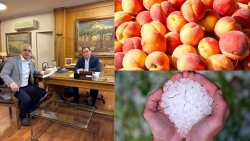 &Tau;&sigma;&alpha;&beta;&delta;&alpha;&rho;ί&delta;&eta;&sigmaf;: "Ά&rho;&chi;&iota;&sigma;&alpha;&nu; &omicron;&iota; &pi;&lambda;&eta;&rho;&omega;&mu;έ&sigmaf; &sigma;&tau;&omicron;&upsilon;&sigmaf; &alpha;&gamma;&rho;ό&tau;&epsilon;&sigmaf; &mu;&alpha;&sigmaf;" - &Mu;&epsilon;&gamma;ά&lambda;&eta; &Beta;&delta;&omicron;&mu;ά&delta;&alpha; &tau;&alpha; De minimis &sigma;&tau;&alpha; &rho;&omicron;&delta;ά&kappa;&iota;&nu;&alpha; &kappa;&alpha;&iota; &eta; &pi;&lambda;&eta;&rho;&omega;&mu;ή &Epsilon;&Lambda;&Gamma;&Alpha;