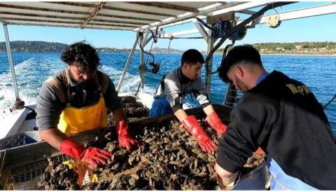 &Pi;&Kappa;&Mu;: &Upsilon;&pi;&omicron;&beta;&omicron;&lambda;ή &alpha;&iota;&tau;&eta;&mu;ά&tau;&omega;&nu; &chi;&omicron;&rho;ή&gamma;&eta;&sigma;&eta;&sigmaf; &epsilon;&nu;ί&sigma;&chi;&upsilon;&sigma;&eta;&sigmaf; ή&sigma;&sigma;&omicron;&nu;&omicron;&sigmaf; &sigma;&eta;&mu;&alpha;&sigma;ί&alpha;&sigmaf; &sigma;&tau;&omicron;&nu; &tau;&omicron;&mu;έ&alpha; &tau;&omega;&nu; &omicron;&sigma;&tau;&rho;&alpha;&kappa;&omicron;&kappa;&alpha;&lambda;&lambda;&iota;&epsilon;&rho;&gamma;&epsilon;&iota;ώ&nu;