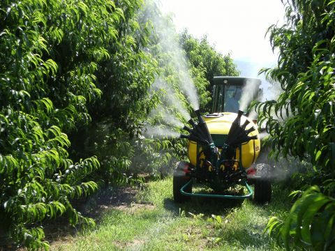&Omicron;&delta;&eta;&gamma;ί&alpha; &psi;&epsilon;&kappa;&alpha;&sigma;&mu;&omicron;ύ &gamma;&iota;&alpha; &tau;&eta;&nu; &Rho;&omicron;&delta;&alpha;&kappa;&iota;&nu;&iota;ά