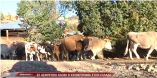 &Tau;&alpha; &pi;&rho;&omicron;&beta;&lambda;ή&mu;&alpha;&tau;&alpha; &pi;&omicron;&upsilon; &alpha;&nu;&tau;&iota;&mu;&epsilon;&tau;&omega;&pi;ί&zeta;&omicron;&upsilon;&nu; &omicron;&iota; Έ&lambda;&lambda;&eta;&nu;&epsilon;&sigmaf; &Kappa;&tau;&eta;&nu;&omicron;&tau;&rho;ό&phi;&omicron;&iota; (video)
