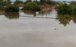 Έ&nu;&tau;&alpha;&xi;&eta; &kappa;&alpha;&iota; &tau;&omega;&nu; &alpha;&gamma;&rho;&omicron;&tau;&iota;&kappa;ώ&nu; &epsilon;&kappa;&mu;&epsilon;&tau;&alpha;&lambda;&lambda;&epsilon;ύ&sigma;&epsilon;&omega;&nu; &pi;&omicron;&upsilon; &epsilon;&pi;&lambda;ή&gamma;&eta;&sigma;&alpha;&nu; &alpha;&pi;ό &tau;&eta;&nu; &kappa;&alpha;&kappa;&omicron;&kappa;&alpha;&iota;&rho;ί&alpha; Daniel &sigma;&tau;&omicron; &pi;&lambda;&alpha;ί&sigma;&iota;&omicron; &tau;&eta;&sigmaf; &pi;&rho;ώ&tau;&eta;&sigmaf; &alpha;&rho;&omega;&gamma;ή&sigmaf; έ&nu;&alpha;&nu;&tau;&iota; &epsilon;&pi;&iota;&chi;&omicron;&rho;ή&gamma;&eta;&sigma;&eta;&sigmaf; &epsilon;&pi;&iota;&chi;&epsilon;&iota;&rho;ή&sigma;&epsilon;&omega;&nu;