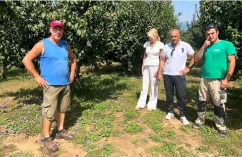 &Epsilon;&pi;ί&sigma;&kappa;&epsilon;&psi;&eta; &Theta;&epsilon;&omicron;&delta;ώ&rho;&alpha;&sigmaf; &Tau;&zeta;ά&kappa;&rho;&eta; &sigma;&tau;&omicron; &Alpha;&chi;&lambda;&alpha;&delta;&omicron;&chi;ώ&rho;&iota; &gamma;&iota;&alpha; &tau;&iota;&sigmaf; &zeta;&eta;&mu;&iota;έ&sigmaf; (&sigma;&kappa;ί&sigma;&iota;&mu;&omicron;) &sigma;&tau;&alpha; &delta;&alpha;&mu;ά&sigma;&kappa;&eta;&nu;&alpha;