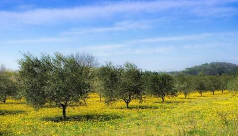 &Eta; &epsilon;&iota;&sigma;&phi;&omicron;&rho;ά &delta;&alpha;&kappa;&omicron;&kappa;&tau;&omicron;&nu;ί&alpha;&sigmaf; &gamma;&iota;&alpha; &tau;&omicron; &epsilon;&lambda;&alpha;&iota;&omicron;&kappa;&omicron;&mu;&iota;&kappa;ό έ&tau;&omicron;&sigmaf; 2022-2023