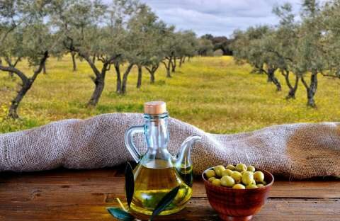 &Beta;&iota;&omicron;&lambda;&omicron;&gamma;&iota;&kappa;ό &epsilon;&lambda;&alpha;&iota;ό&lambda;&alpha;&delta;&omicron;: &Tau;&alpha; &beta;ή&mu;&alpha;&tau;&alpha; &pi;&omicron;&upsilon; &pi;&rho;έ&pi;&epsilon;&iota; &nu;&alpha; &alpha;&kappa;&omicron;&lambda;&omicron;&upsilon;&theta;ή&sigma;&epsilon;&iota; έ&nu;&alpha;&sigmaf; &epsilon;&lambda;&alpha;&iota;&omicron;&pi;&alpha;&rho;&alpha;&gamma;&omega;&gamma;ό&sigmaf; ώ&sigma;&tau;&epsilon; &nu;&alpha; &mu;&eta; &beta;&rho;&epsilon;&theta;&epsilon;ί &pi;&rho;&omicron; &epsilon;&kappa;&pi;&lambda;ή&xi;&epsilon;&omega;&sigmaf;