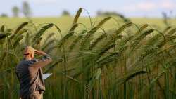 &Sigma;&upsilon;&mu;&beta;&alpha;&sigma;&iota;&omicron;ύ&chi;&omicron;&iota; &Gamma;&epsilon;&omega;&pi;ό&nu;&omicron;&iota;: &Alpha;&nu;ά&gamma;&kappa;&eta; &theta;&epsilon;&sigma;&mu;&iota;&kappa;ή&sigmaf; &kappa;&alpha;&tau;&omicron;&chi;ύ&rho;&omega;&sigma;&eta;&sigmaf; &kappa;&alpha;&iota; &mu;ό&nu;&iota;&mu;&eta;&sigmaf; &sigma;&tau;&epsilon;&lambda;έ&chi;&omega;&sigma;&eta;&sigmaf; &tau;&omicron;&upsilon; &Alpha;&gamma;&rho;&omicron;&tau;&iota;&kappa;&omicron;ύ &Tau;&omicron;&mu;έ&alpha; &mu;&epsilon; &Gamma;&epsilon;&omega;&pi;ό&nu;&omicron;&upsilon;&sigmaf;