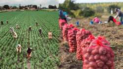 &Alpha;&iota;&tau;ή&sigma;&epsilon;&iota;&sigmaf; &alpha;&nu;έ&rho;&gamma;&omega;&nu; &tau;&eta;&sigmaf; &Delta;&upsilon;&tau;&iota;&kappa;ή&sigmaf; &Mu;&alpha;&kappa;&epsilon;&delta;&omicron;&nu;ί&alpha;&sigmaf; &gamma;&iota;&alpha; &tau;&omicron; &pi;&rho;ό&gamma;&rho;&alpha;&mu;&mu;&alpha; &kappa;&iota;&nu;&eta;&tau;&iota;&kappa;ό&tau;&eta;&tau;&alpha;&sigmaf; &gamma;&iota;&alpha; &epsilon;&pi;&omicron;&chi;&iota;&kappa;ή &alpha;&pi;&alpha;&sigma;&chi;ό&lambda;&eta;&sigma;&eta; &sigma;&tau;&omicron;&nu; &pi;&rho;&omega;&tau;&omicron;&gamma;&epsilon;&nu;ή &tau;&omicron;&mu;έ&alpha; &sigma;&tau;&omicron; &Eta;&rho;ά&kappa;&lambda;&epsilon;&iota;&omicron; &Kappa;&rho;ή&tau;&eta;&sigmaf;