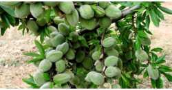 &Kappa;&alpha;&lambda;&lambda;&iota;&epsilon;&rho;&gamma;&epsilon;ί&sigmaf; ή &sigma;&kappa;έ&phi;&tau;&epsilon;&sigma;&alpha;&iota; &nu;&alpha; &kappa;&alpha;&lambda;&lambda;&iota;&epsilon;&rho;&gamma;ή&sigma;&epsilon;&iota;&sigmaf; &alpha;&mu;ύ&gamma;&delta;&alpha;&lambda;&alpha;?