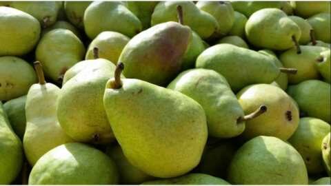 &Alpha;&chi;&lambda;ά&delta;&iota; Williams &kappa;&alpha;&iota; Highland: &Pi;ό&sigma;&alpha; &gamma;&nu;&omega;&rho;ί&zeta;&epsilon;&iota;&sigmaf; &gamma;&iota;&alpha; &alpha;&upsilon;&tau;έ&sigmaf; &tau;&iota;&sigmaf; &delta;ύ&omicron; &kappa;&lambda;&alpha;&sigma;&iota;&kappa;έ&sigmaf; &pi;&omicron;&iota;&kappa;&iota;&lambda;ί&epsilon;&sigmaf;?