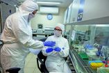 &Kappa;&omicron;&rho;&omega;&nu;&omicron;ϊ&omicron;&sigmaf;: 22 &nu;&epsilon;&kappa;&rho;&omicron;ί &kappa;&alpha;&iota; 244 &nu;&omicron;&sigma;&eta;&lambda;&epsilon;ύ&omicron;&nu;&tau;&alpha;&iota; &delta;&iota;&alpha;&sigma;&omega;&lambda;&eta;&nu;&omega;&mu;έ&nu;&omicron;&iota; &sigma;&epsilon; έ&nu;&alpha; 24&omega;&rho;&omicron; - 1261 &nu;έ&alpha; &kappa;&rho;&omicron;ύ&sigma;&mu;&alpha;&tau;&alpha;
