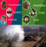 T&alpha; &pi;&lambda;έ&omicron;&nu; &iota;&delta;&alpha;&nu;&iota;&kappa;ά &mu;&epsilon;&tau;ά &tau;&eta; &sigma;&upsilon;&gamma;&kappa;&omicron;&mu;&iota;&delta;ή &delta;&iota;&alpha;&phi;&upsilon;&lambda;&lambda;&iota;&kappa;ά &lambda;&iota;&pi;ά&sigma;&mu;&alpha;&tau;&alpha; - &Delta;ώ&sigma;&epsilon; &delta;ύ&nu;&alpha;&mu;&eta; &sigma;&tau;&alpha; &delta;έ&nu;&tau;&rho;&alpha; &sigma;&omicron;&upsilon;