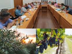 &Sigma;ύ&sigma;&kappa;&epsilon;&psi;&eta; &gamma;&iota;&alpha; &tau;&eta;&nu; &delta;&iota;&alpha;&chi;&epsilon;ί&rho;&iota;&sigma;&eta; &tau;&omega;&nu; &pi;&rho;&omicron;&beta;&lambda;&eta;&mu;ά&tau;&omega;&nu; &sigma;&tau;&eta;&nu; &alpha;&mu;&pi;&epsilon;&lambda;&omicron;&upsilon;&rho;&gamma;ί&alpha; &kappa;&alpha;&iota; &epsilon;&lambda;&alpha;&iota;&omicron;&kappa;&omicron;&mu;ί&alpha; &alpha;&pi;ό &tau;&iota;&sigmaf; &pi;&rho;ό&sigma;&phi;&alpha;&tau;&epsilon;&sigmaf; &delta;&upsilon;&sigma;&mu;&epsilon;&nu;&epsilon;ί&sigmaf; &kappa;&alpha;&iota;&rho;&iota;&kappa;έ&sigmaf; &sigma;&upsilon;&nu;&theta;ή&kappa;&epsilon;&sigmaf;