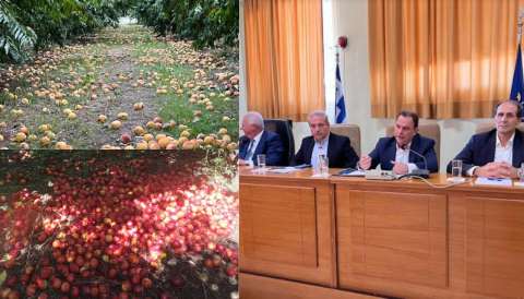 &Gamma;&epsilon;&omega;&rho;&gamma;&alpha;&nu;&tau;ά&sigmaf; &alpha;&pi;ό &tau;&eta;&nu; &Eta;&mu;&alpha;&theta;ί&alpha;: &Mu;έ&sigma;&omega; de minimis &theta;&alpha; &kappa;&alpha;&lambda;&upsilon;&phi;&theta;&epsilon;ί &eta; &alpha;&pi;ώ&lambda;&epsilon;&iota;&alpha; &epsilon;&iota;&sigma;&omicron;&delta;ή&mu;&alpha;&tau;&omicron;&sigmaf; &tau;&omega;&nu; &pi;&alpha;&rho;&alpha;&gamma;&omega;&gamma;ώ&nu; &alpha;&pi;ό &tau;&iota;&sigmaf; &beta;&rho;&omicron;&chi;&omicron;&pi;&tau;ώ&sigma;&epsilon;&iota;&sigmaf;