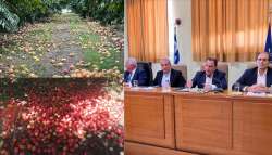 &Gamma;&epsilon;&omega;&rho;&gamma;&alpha;&nu;&tau;ά&sigmaf; &alpha;&pi;ό &tau;&eta;&nu; &Eta;&mu;&alpha;&theta;ί&alpha;: &Mu;έ&sigma;&omega; de minimis &theta;&alpha; &kappa;&alpha;&lambda;&upsilon;&phi;&theta;&epsilon;ί &eta; &alpha;&pi;ώ&lambda;&epsilon;&iota;&alpha; &epsilon;&iota;&sigma;&omicron;&delta;ή&mu;&alpha;&tau;&omicron;&sigmaf; &tau;&omega;&nu; &pi;&alpha;&rho;&alpha;&gamma;&omega;&gamma;ώ&nu; &alpha;&pi;ό &tau;&iota;&sigmaf; &beta;&rho;&omicron;&chi;&omicron;&pi;&tau;ώ&sigma;&epsilon;&iota;&sigmaf;