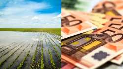 &Alpha;ύ&xi;&eta;&sigma;&eta; &alpha;&pi;&omicron;&theta;&epsilon;&mu;&alpha;&tau;&iota;&kappa;&omicron;ύ, &alpha;&pi;&lambda;&omicron;&pi;&omicron;ί&eta;&sigma;&eta; &delta;&iota;&alpha;&delta;&iota;&kappa;&alpha;&sigma;&iota;ώ&nu; &amp; &mu;&eta;&chi;&alpha;&nu;&iota;&sigma;&mu;ό &sigma;&tau;ή&rho;&iota;&xi;&eta;&sigmaf;, &tau;&alpha; &tau;&rho;ί&alpha; &epsilon;&pi;ί&pi;&epsilon;&delta;&alpha; &tau;&eta;&sigmaf; &sigma;&upsilon;&nu;&epsilon;&rho;&gamma;&alpha;&sigma;ί&alpha;&sigmaf; &Alpha;&upsilon;&gamma;&epsilon;&nu;ά&kappa;&eta; &mu;&epsilon; &tau;&omicron;&upsilon;&sigmaf; &omicron;&mu;&omicron;&lambda;ό&gamma;&omicron;&upsilon;&sigmaf; &tau;&omicron;&upsilon; &tau;&eta;&sigmaf; &Epsilon;&Epsilon;