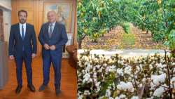 &Gamma;&iota;&alpha; &tau;&iota;&sigmaf; &alpha;&pi;&omicron;&zeta;&eta;&mu;&iota;ώ&sigma;&epsilon;&iota;&sigmaf; &alpha;&pi;ό &beta;&rho;&omicron;&chi;&omicron;&pi;&tau;ώ&sigma;&epsilon;&iota;&sigmaf; &sigma;&tau;&omicron; &rho;&omicron;&delta;ά&kappa;&iota;&nu;&omicron; &kappa;&alpha;&iota; &tau;&eta;&nu; &Epsilon;&iota;&delta;&iota;&kappa;ή &Epsilon;&nu;ί&sigma;&chi;&upsilon;&sigma;&eta; &sigma;&tau;&omicron; &Beta;&alpha;&mu;&beta;ά&kappa;&iota; έ&kappa;&alpha;&nu;&epsilon; &pi;&alpha;&rho;έ&mu;&beta;&alpha;&sigma;&eta; &sigma;&tau;&omicron;&nu; &Upsilon;&pi;&Alpha;&Alpha;&Tau; &omicron; &Tau;ά&sigma;&omicron;&sigmaf; &Mu;&pi;&alpha;&rho;&tau;&zeta;ώ&kappa;&alpha;&sigmaf;